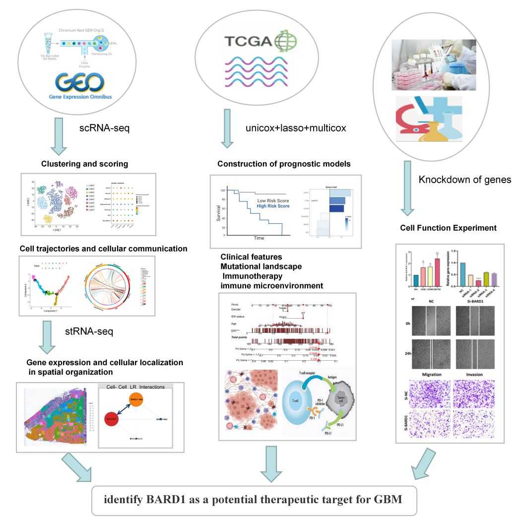 Figure 5. Using transcriptomics to identify therapeutic targets for tumor exosomes.