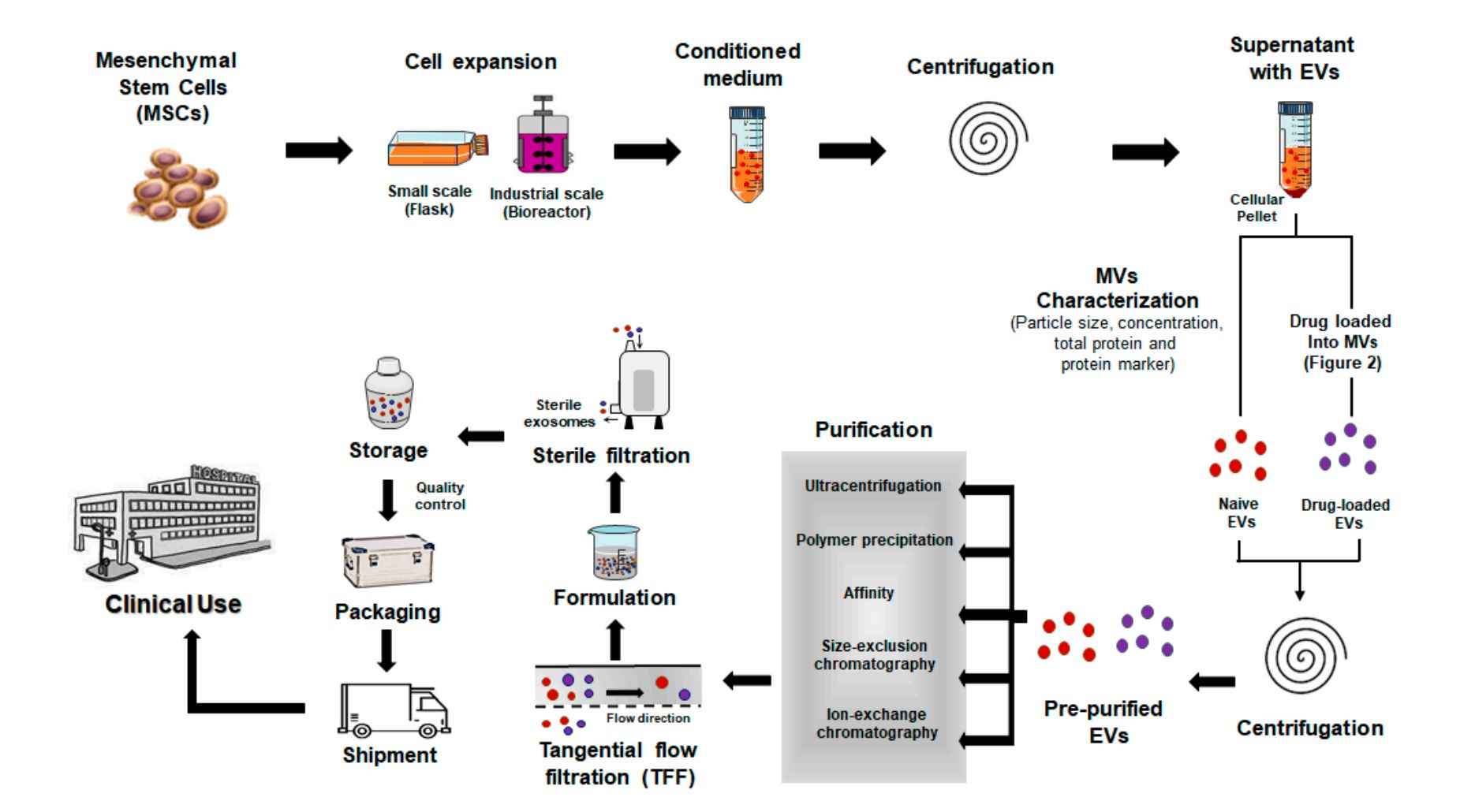 Figure 1. Schematic diagram of a clinical manufacturing method for producing exosome therapy.