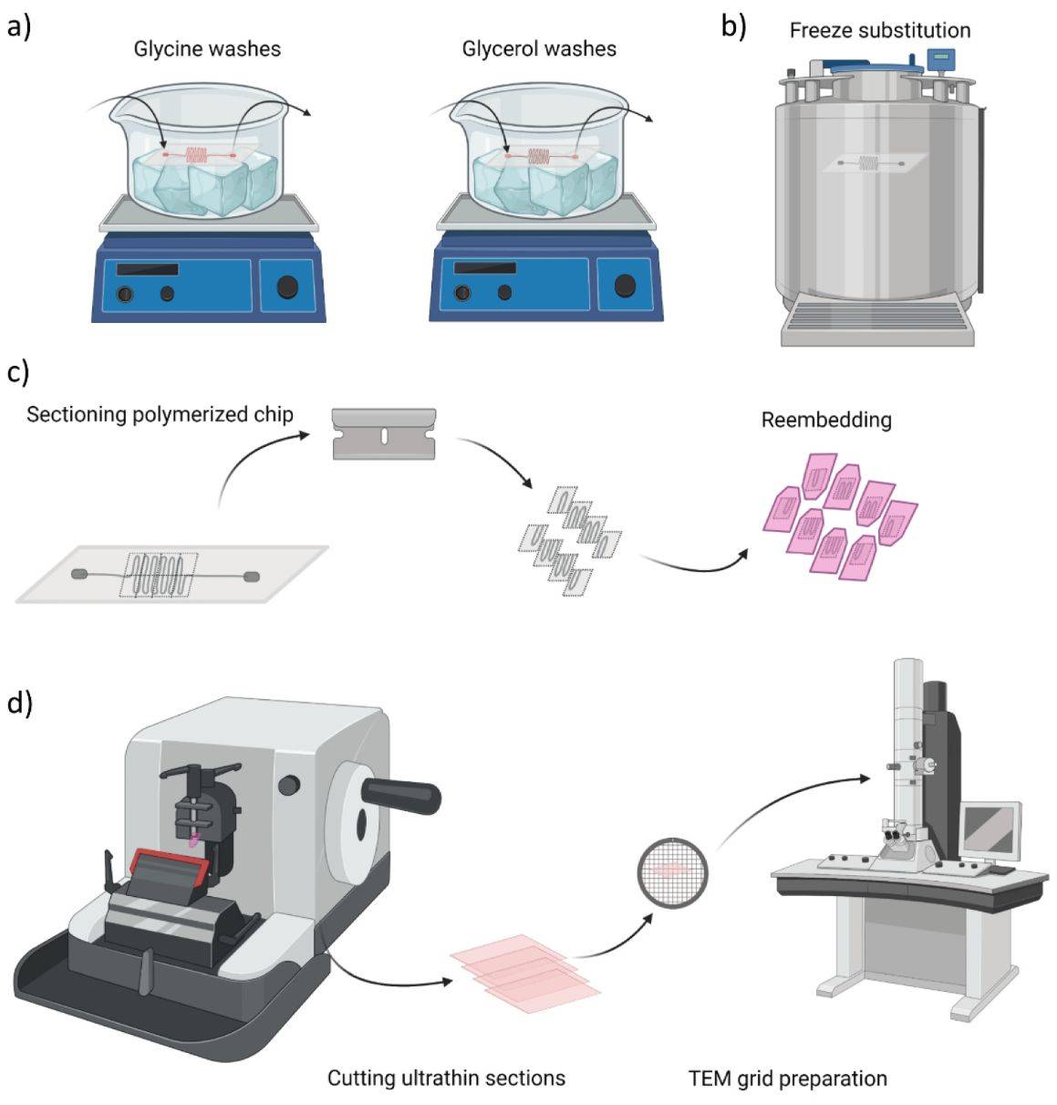 Figure 3. Flow of sample preparation for transmission electron microscopy (TEM) imaging.