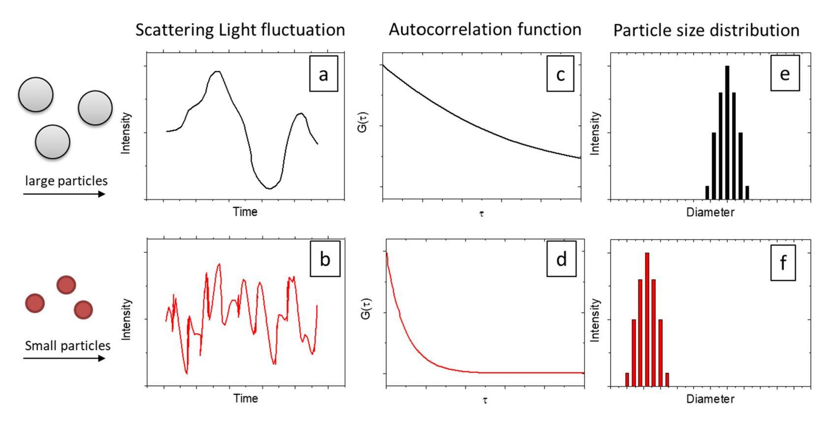 Principle diagram of dynamic light scattering (DLS).