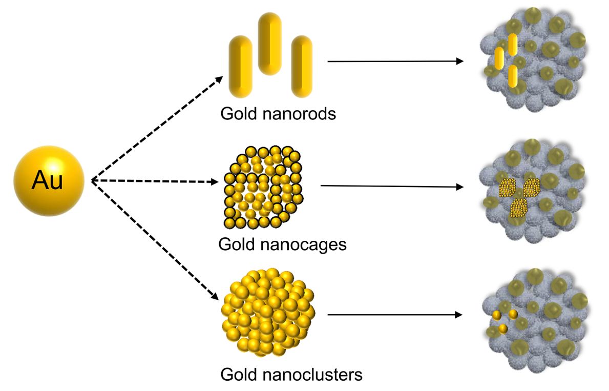 Figure 2. Types of gold nanoparticles.