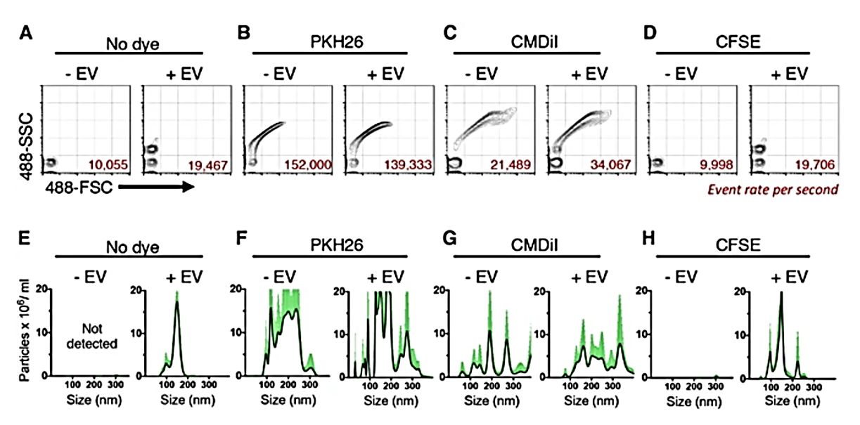 Figure 2. CFSE-stained and unstained EVs have similar light-scattering patterns.