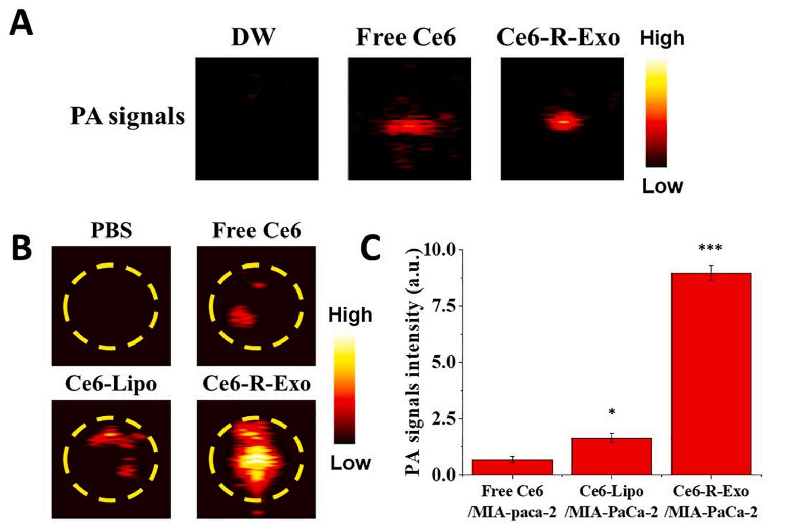 Figure 5. Photoacoustic imaging of dendritic cells stimulated with tumor cell-derived exosomes.