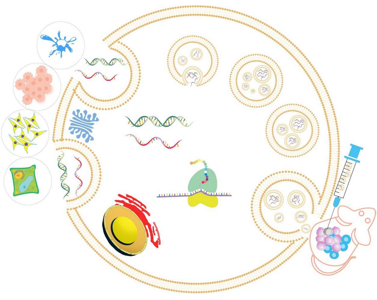 Figure 1. Exosomes as carriers for RNA delivery.