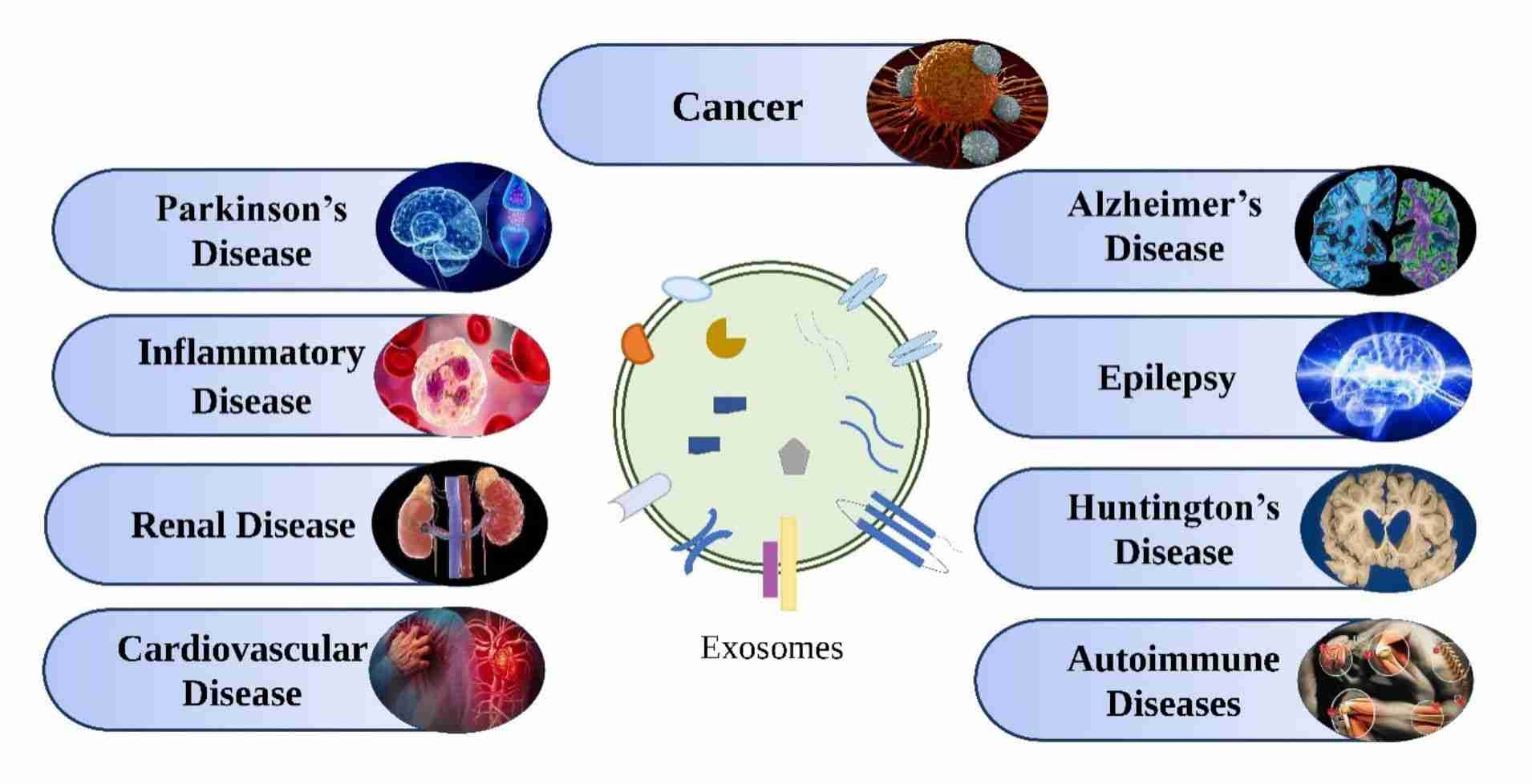 Figure 1. Therapeutic use of exosomes in disease.