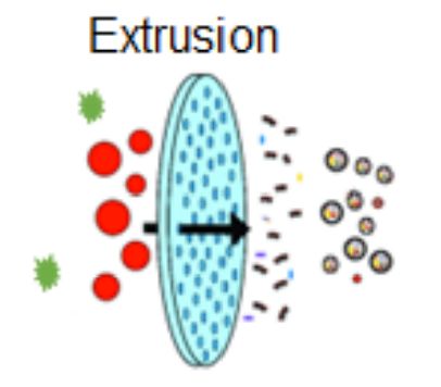 Figure 2. Exosome drug loading by extrusion. 