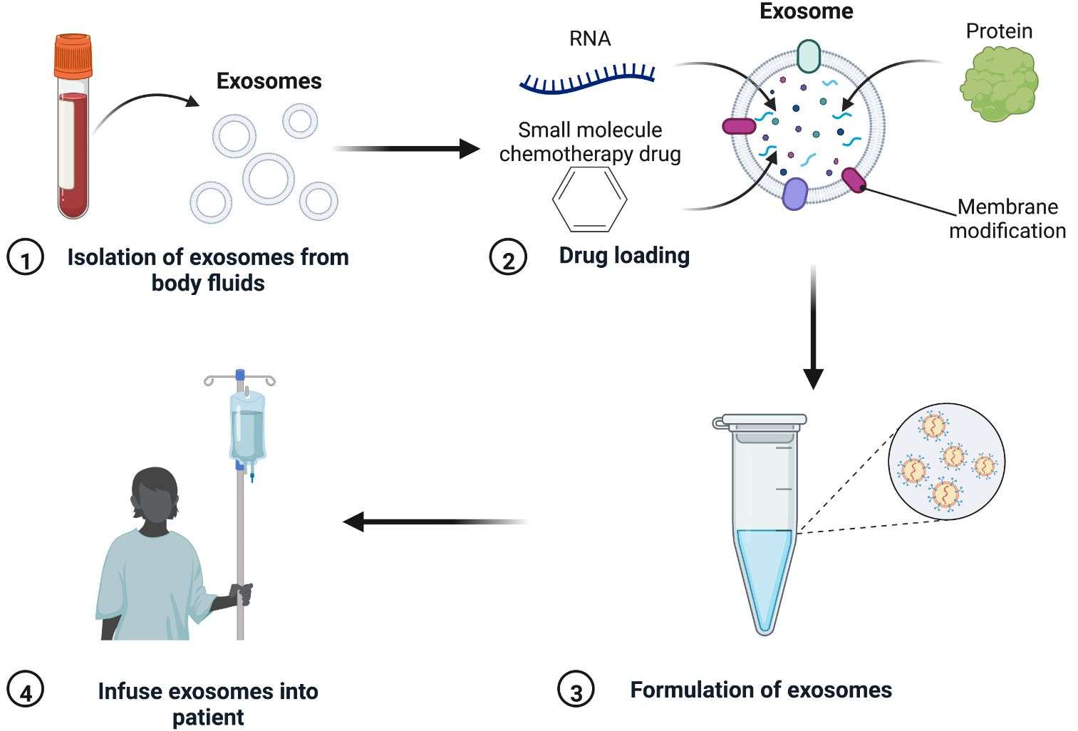 Figure 1. Exosome drug-loading process.