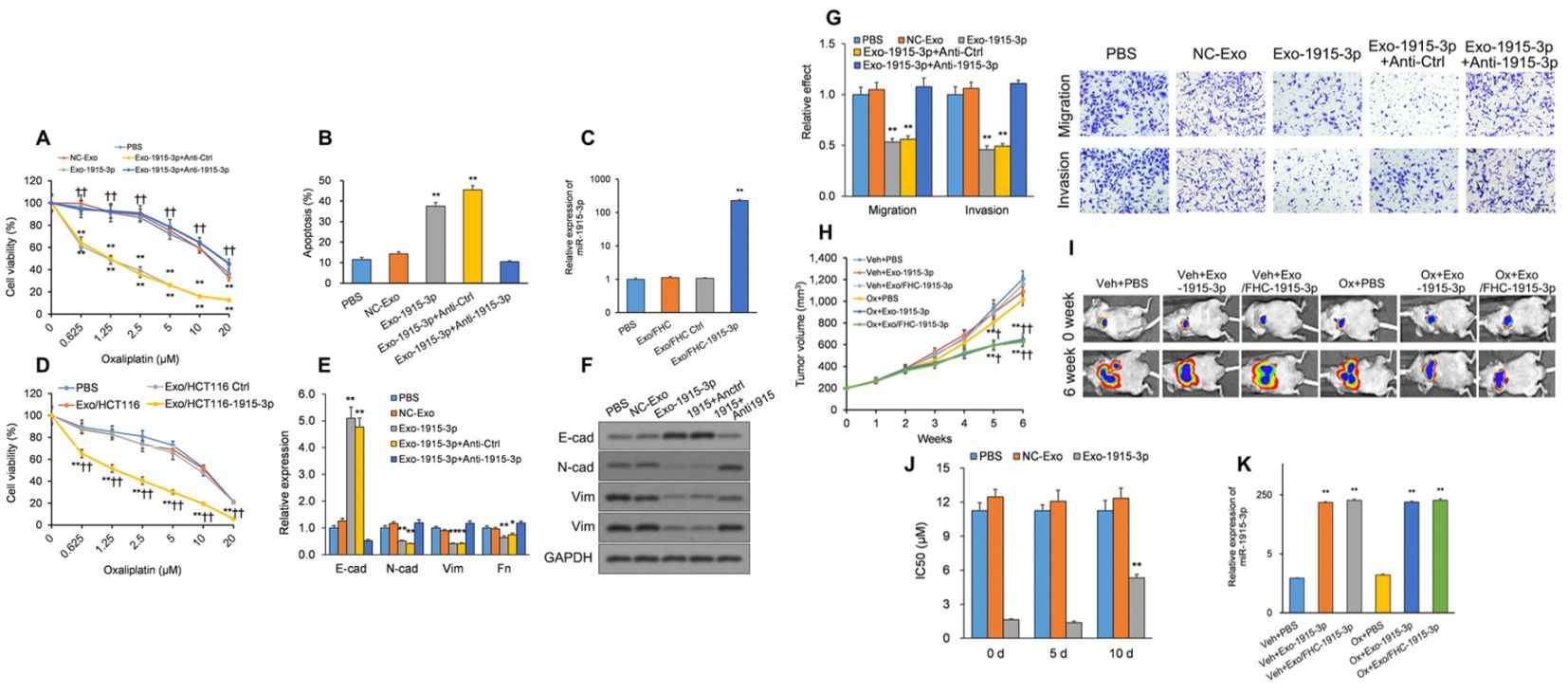 Figure 3. Exosome-based miRNA delivery improves the drug sensitivity of CMCs.