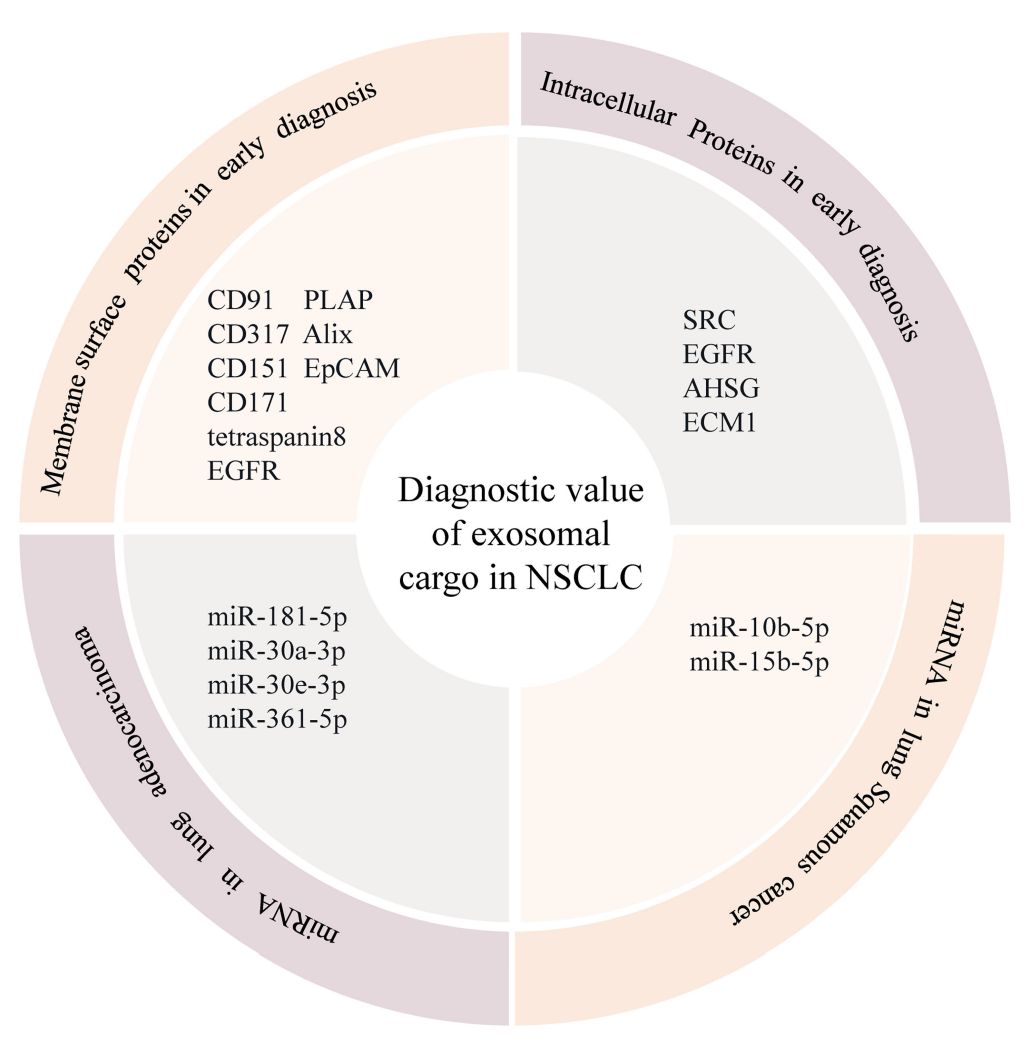Figure 2. Diagnostic value of exosome in NSCLC.