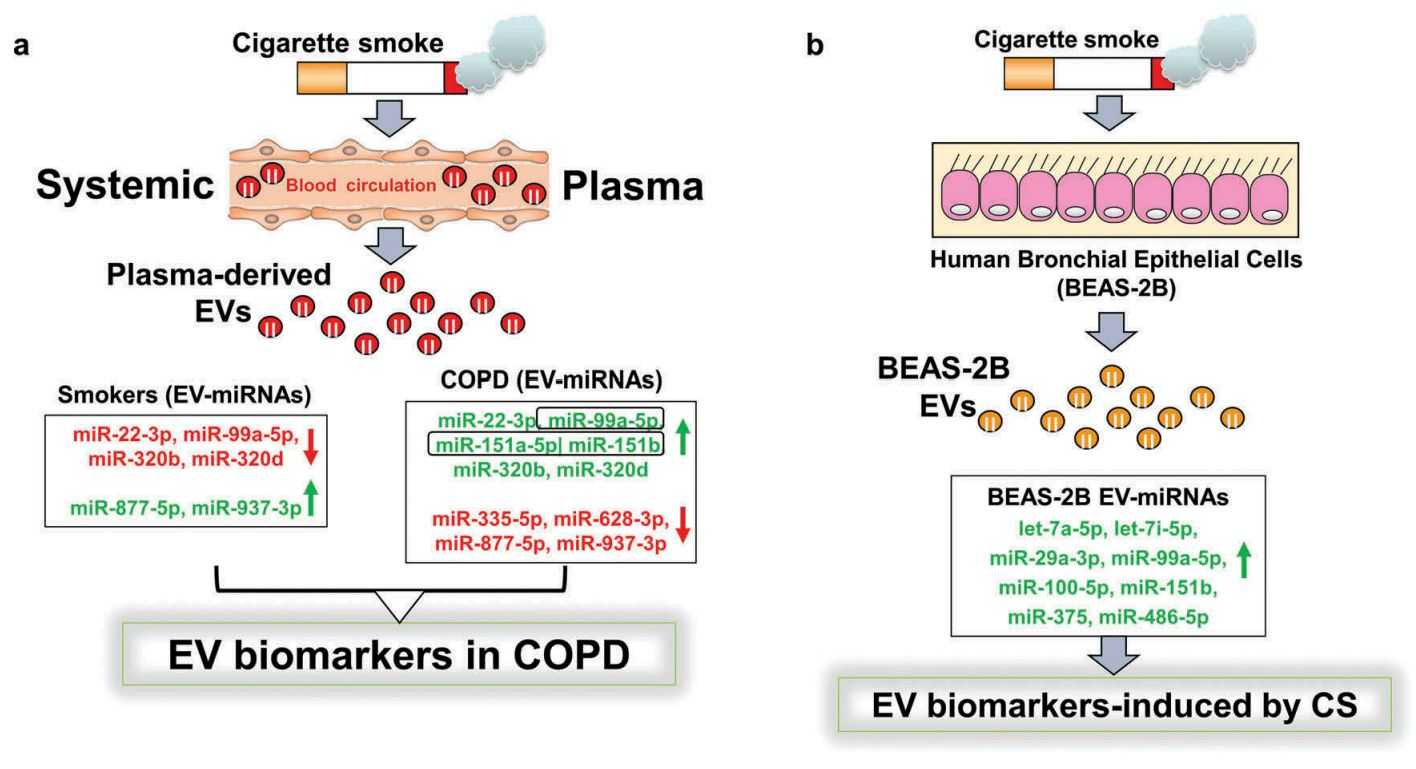 Figure 3. Identification of novel exosomal miRNA biomarkers for COPD.