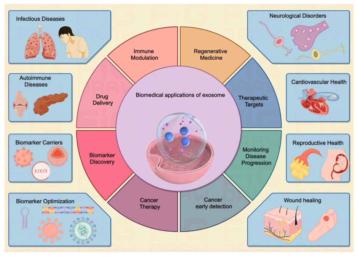 Figure 1. The biomedical potential of exosomes.