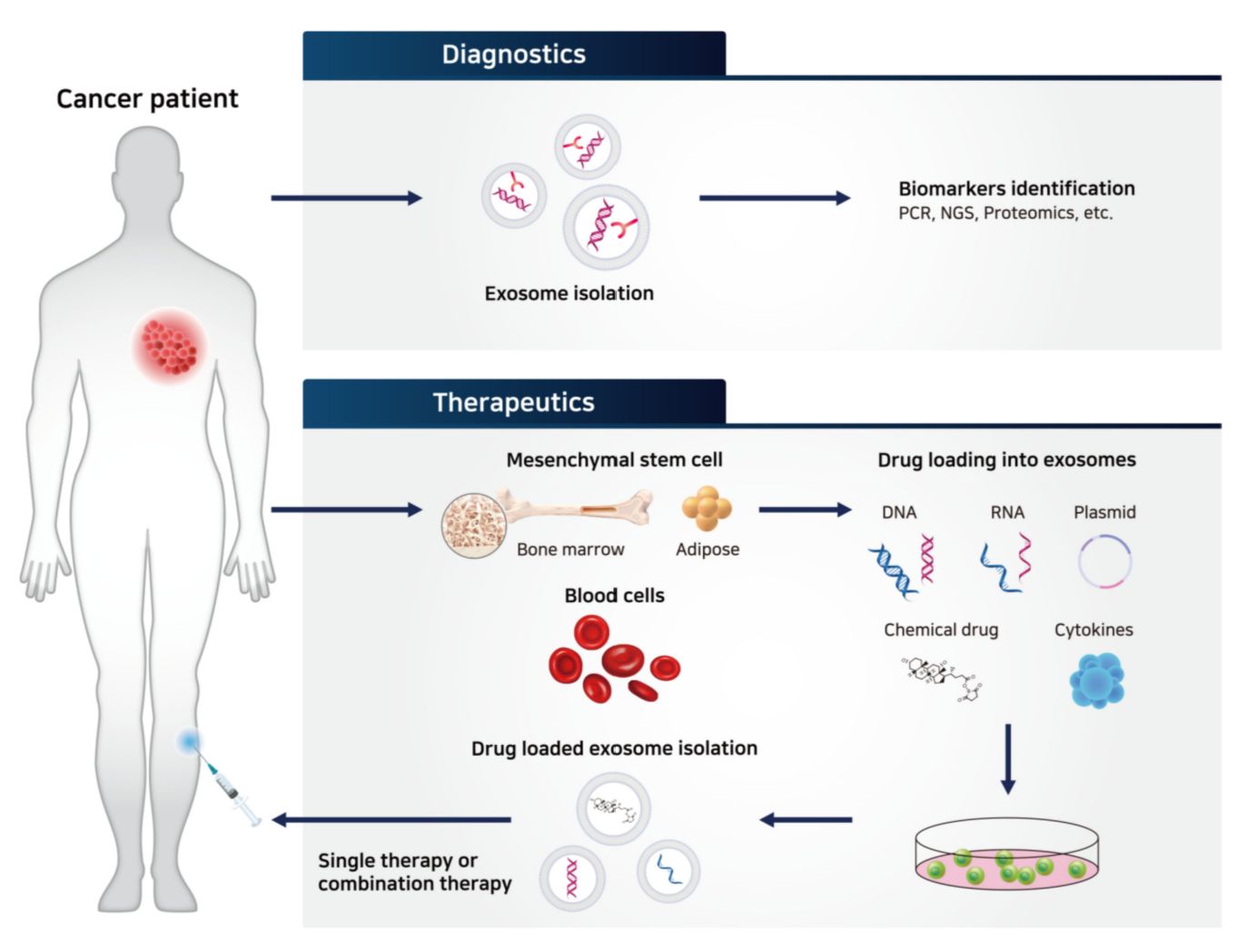 Figure 2. Exosomes for cancer therapy.