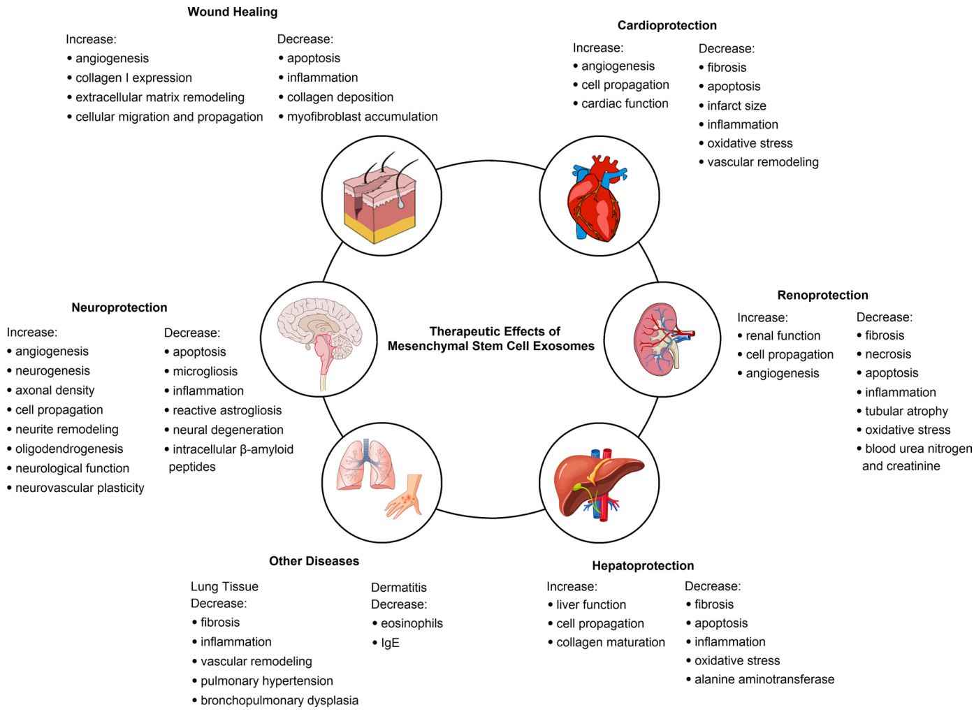 Figure 3. Applications of stem cell-derived exosomes.