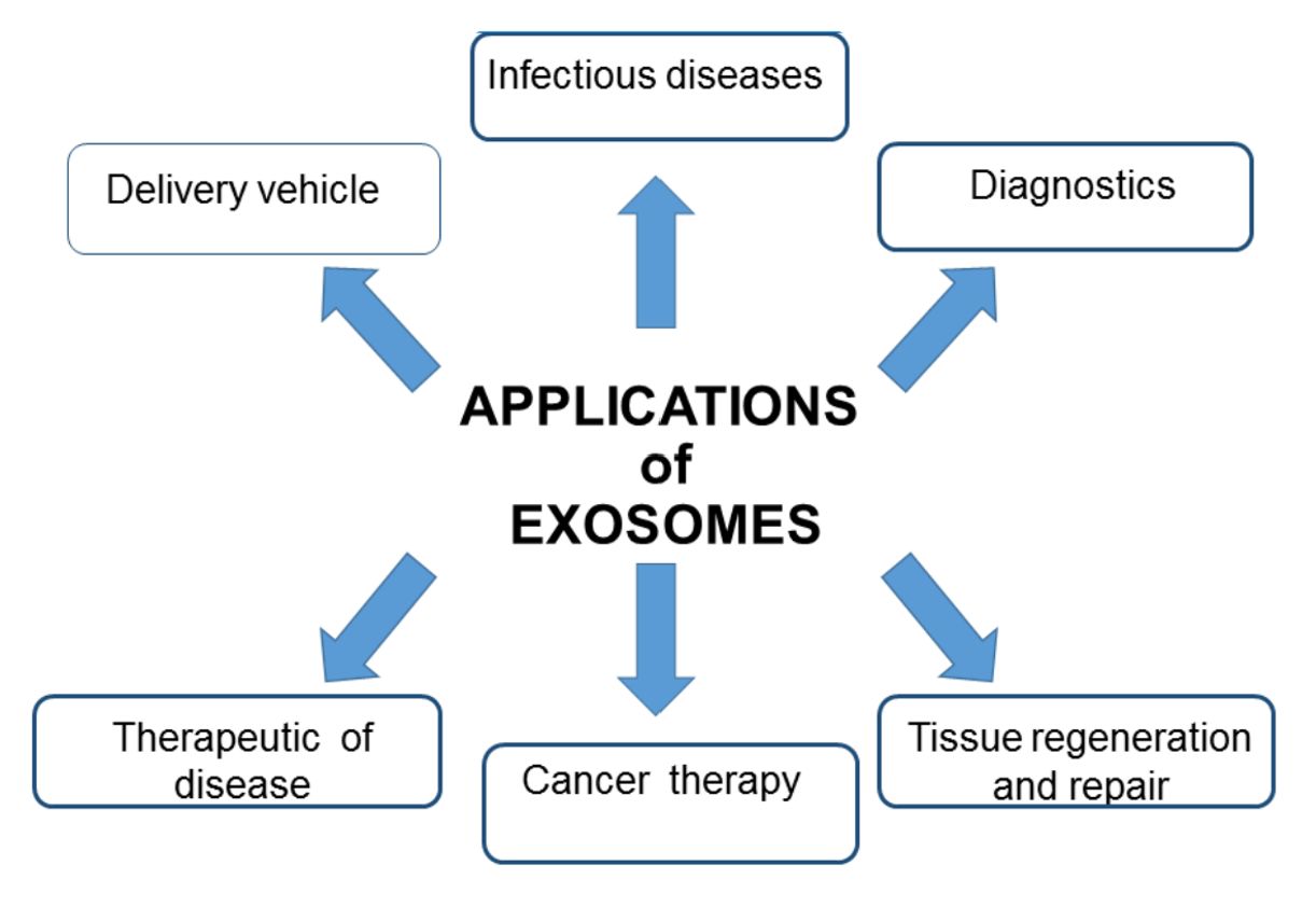 Figure 2. The uses of exosomes.