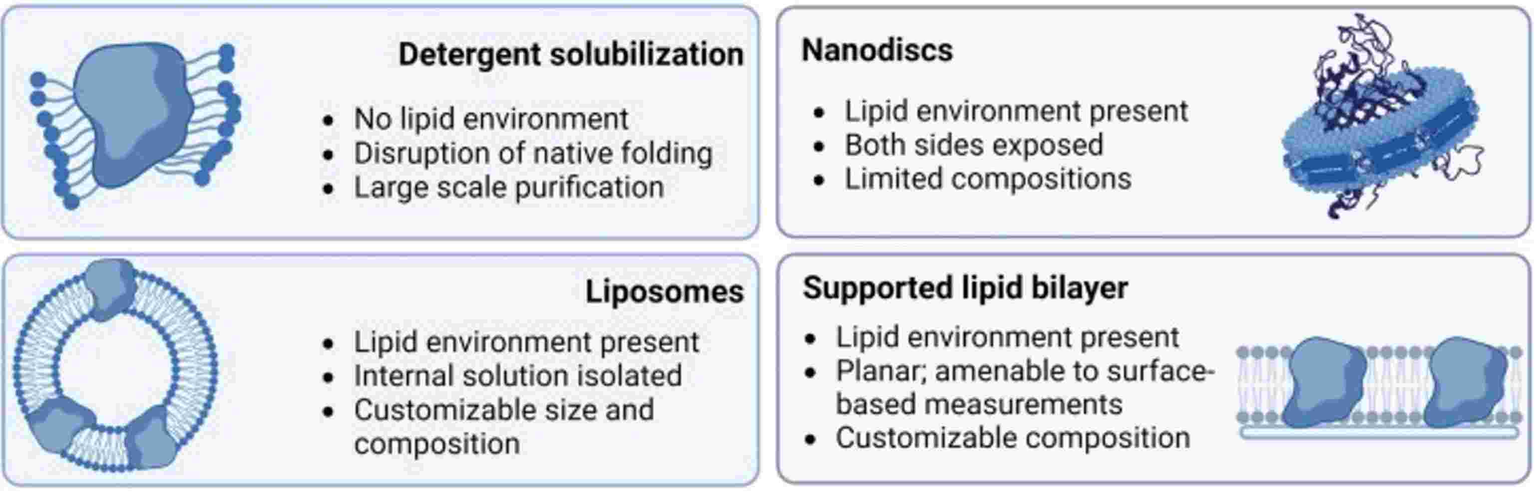 Figure 2. A comparison chart showing four different membrane environments for cell-free membrane protein synthesis.