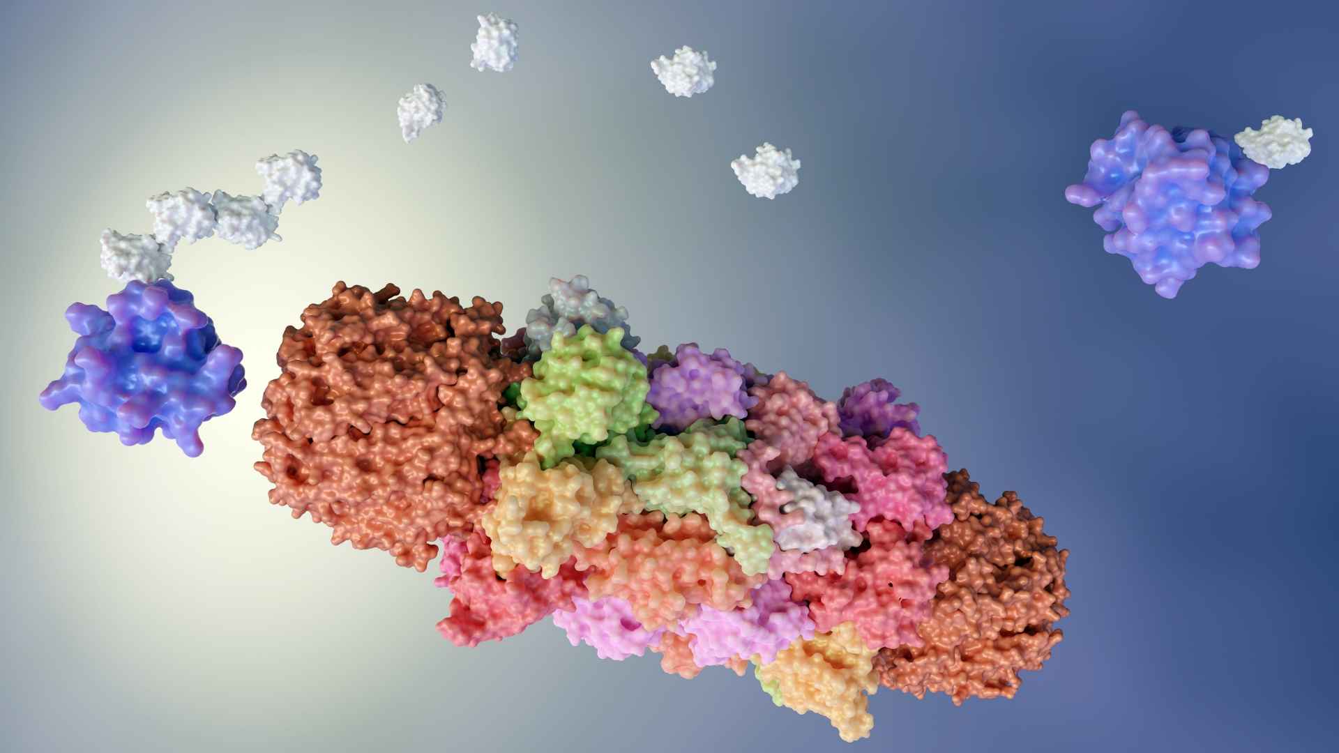 A 3D illustration of protein.