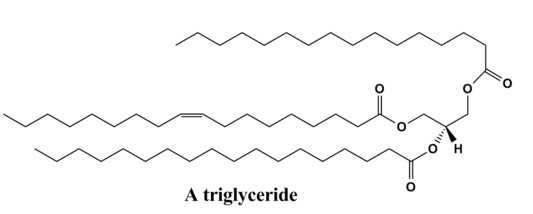 Structure of a triglyceride.