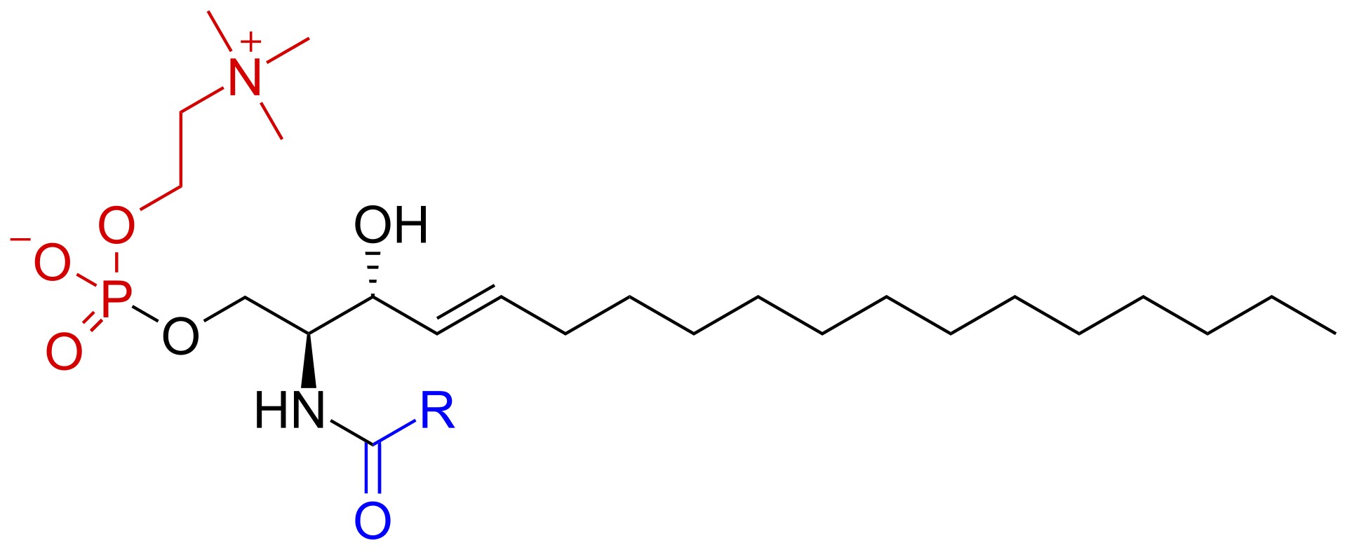 Structure of sphingomyelin.