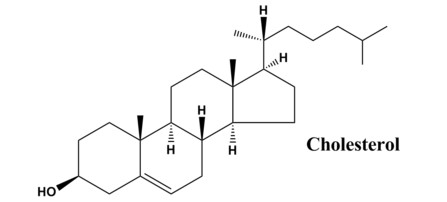 Structure of cholesterol.