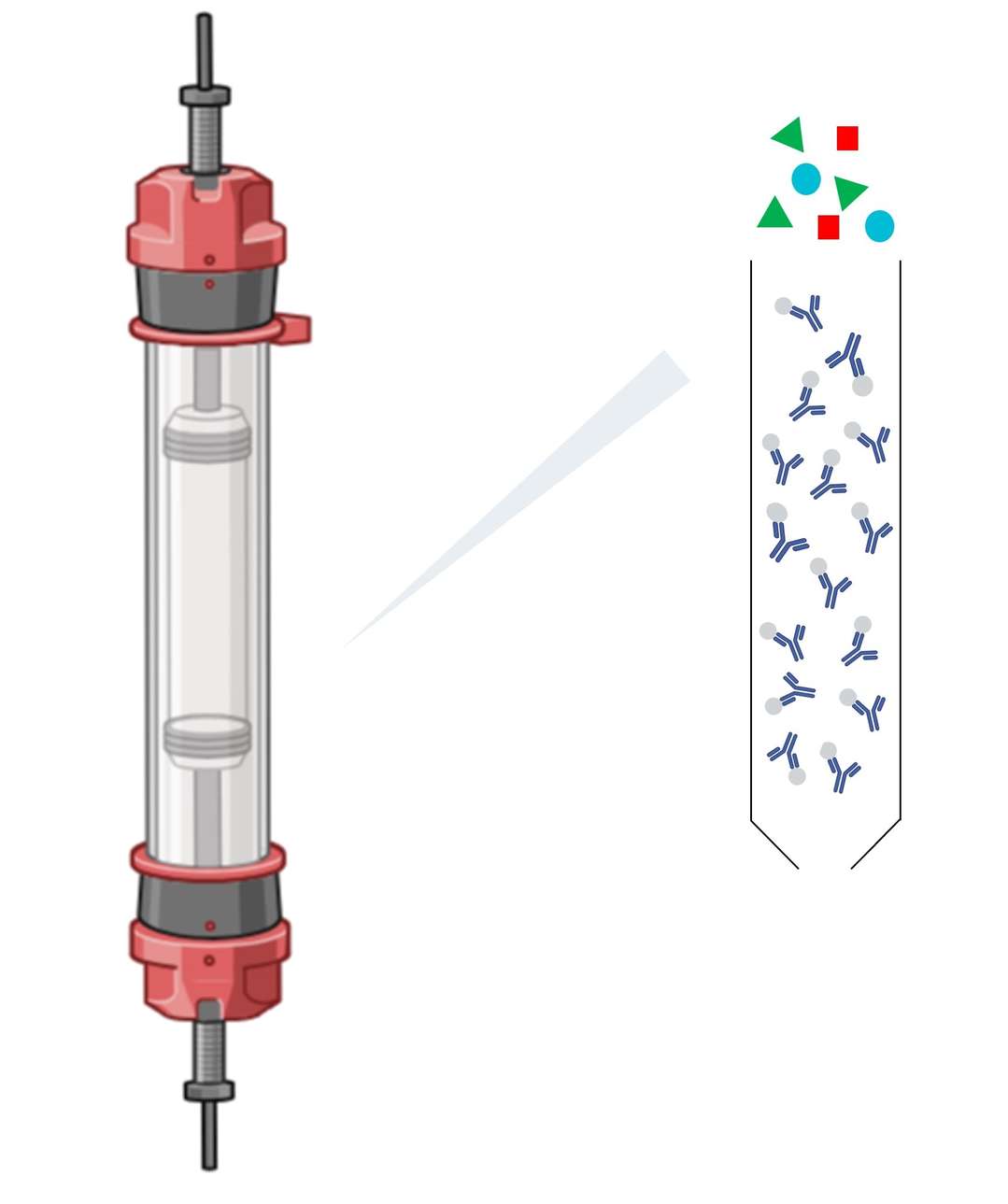 Cell lysate passing through a chromatographic column, with the protein binding to the matrix.