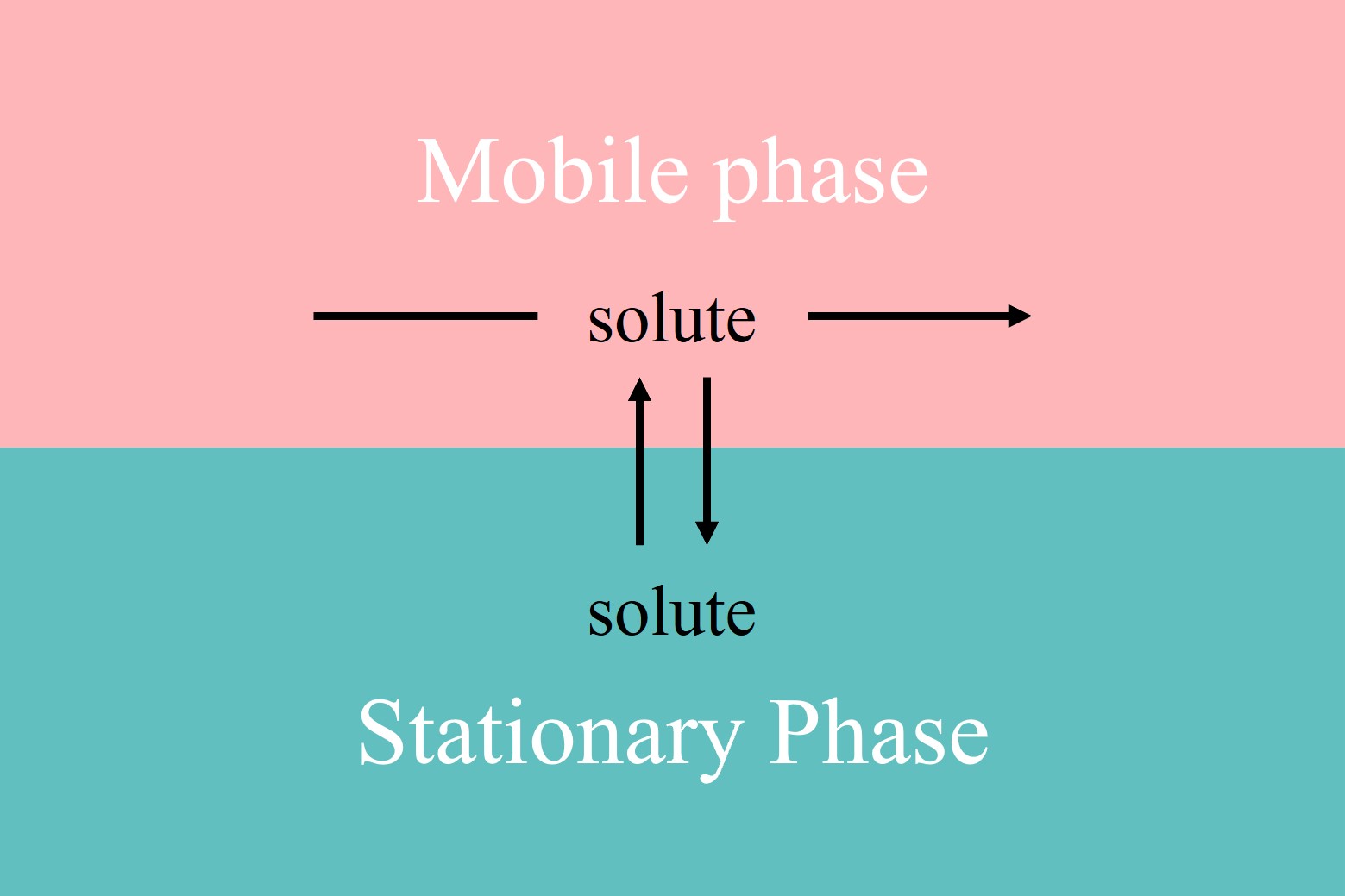 The mobile phase containing the sample flows dynamically along the stationary phase.