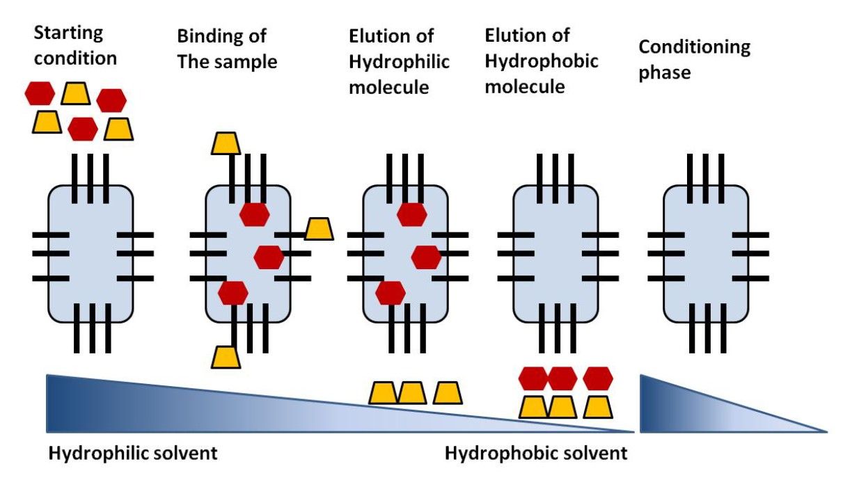 Principle of separation in RPC.