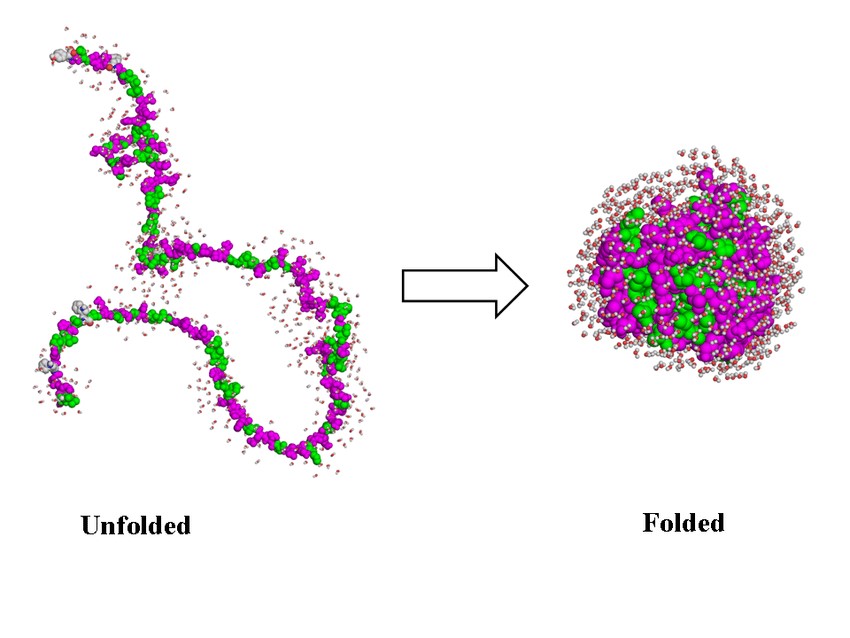 An example of protein folding.