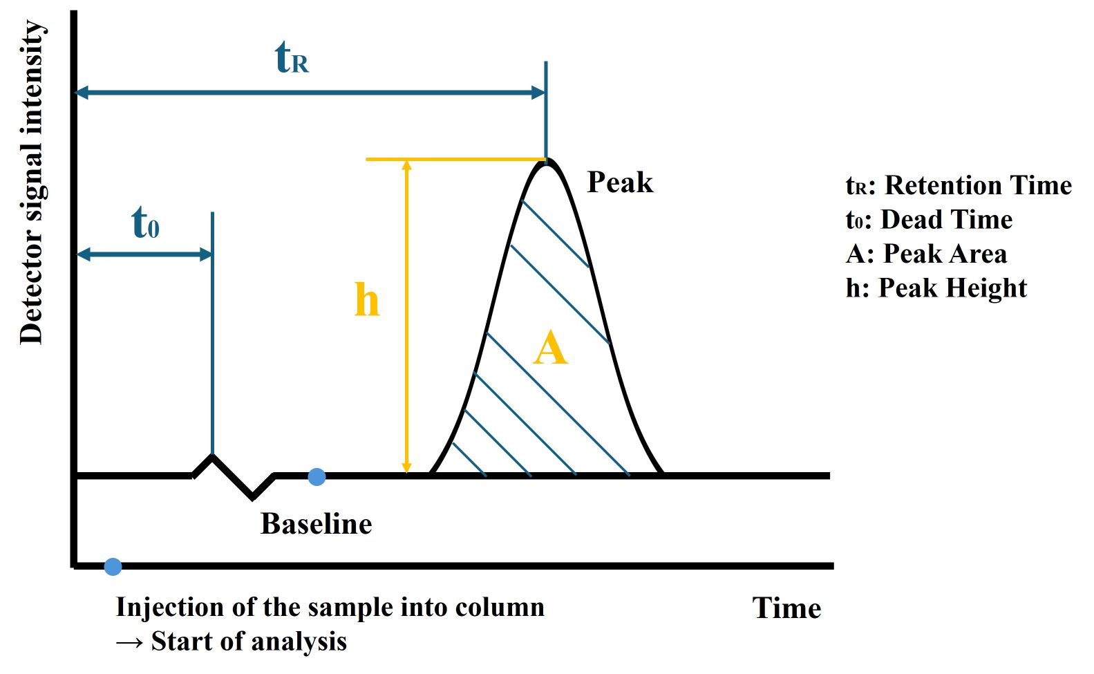 A simplified chromatogram, key parameters include retention time, dead time, and peak area.