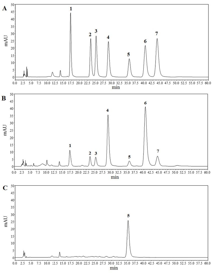 An HPLC chromatogram showing the separation of hydrolyzed polysaccharide derivatives.