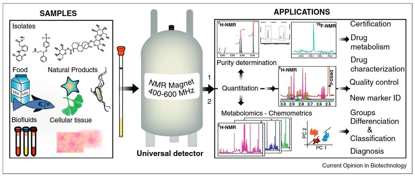 Sample varieties and applications of qNMR, including absolute quantitation and purity determination of organic compounds, metabolomics, and quantitation of analytes in complex natural matrices. Applications include drug metabolite identification, quality control of food products, herbal remedies, and clinical diagnosis.