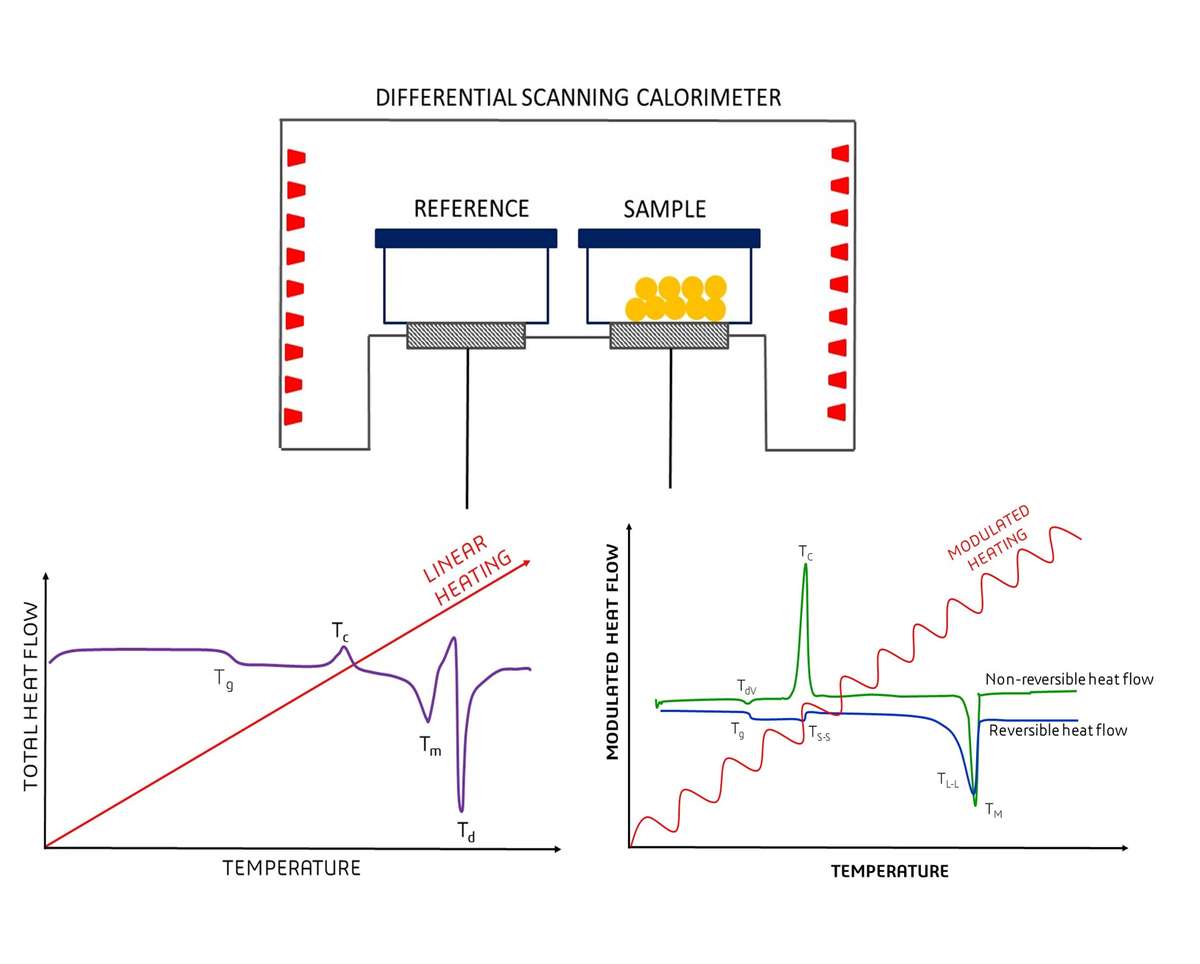 DSC determines the thermal stability of proteins by measuring the heat flow associated with protein unfolding.