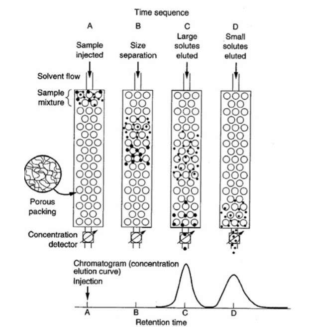 Size-Exclusion Chromatography Mechanism: Diagram demonstrating how particles of varying sizes are separated through sequential elution.