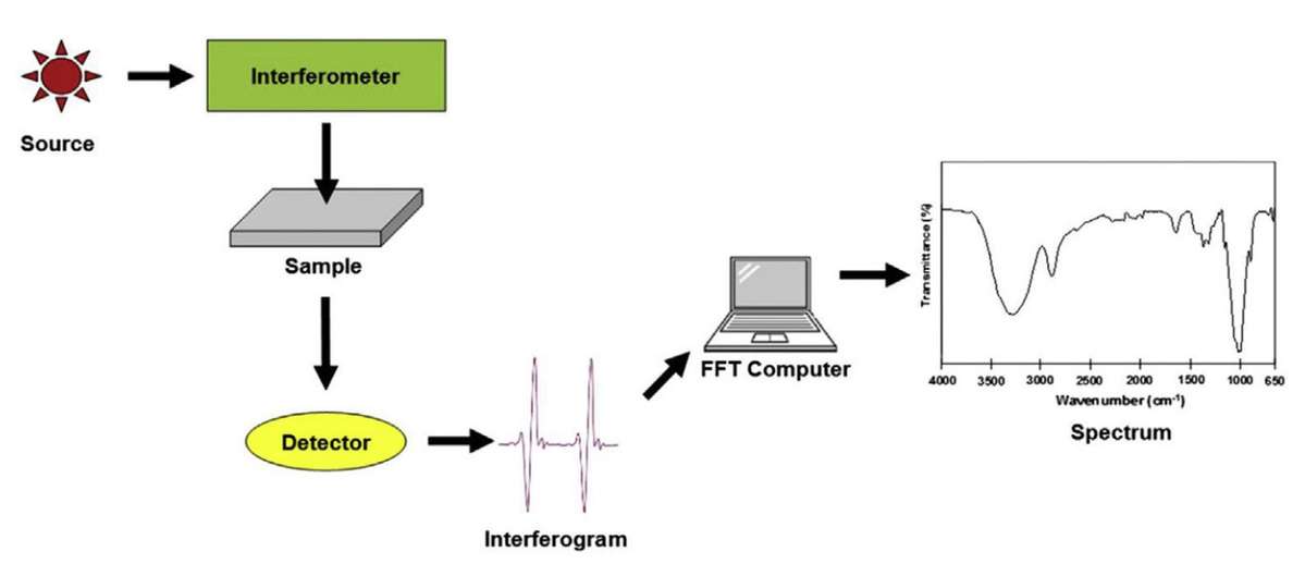 Fourier transform infrared spectroscopy consists of an infrared radiation source, a Michelson interferometer a sample compartment, and a detector.