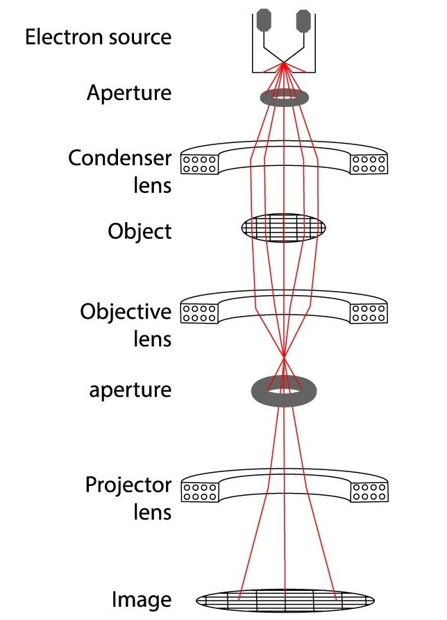 Diagram of an electron microscope.