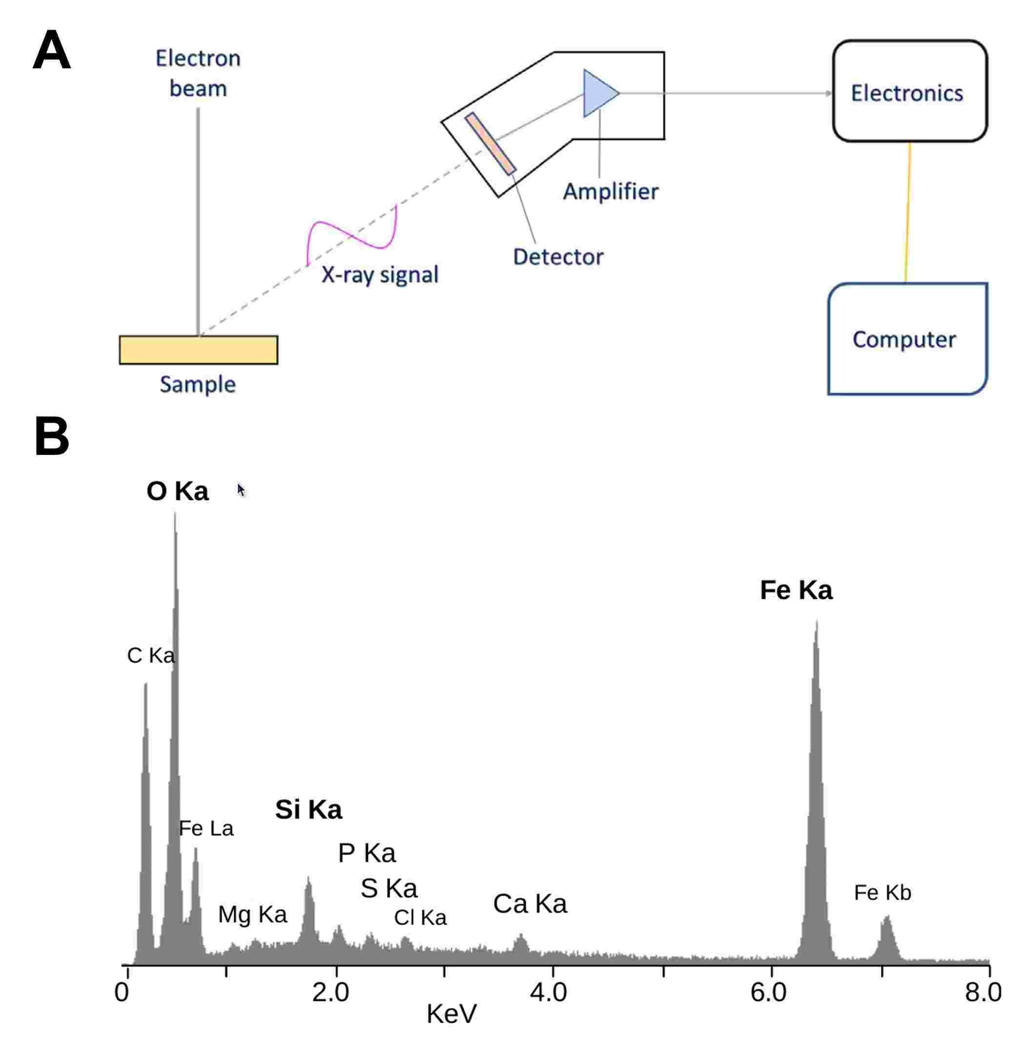 EDS analysis setup and an EDS spectrum.