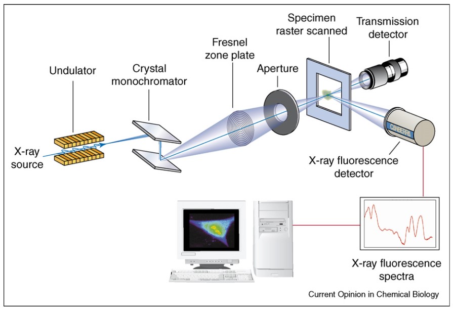 X-ray fluorescence setup.