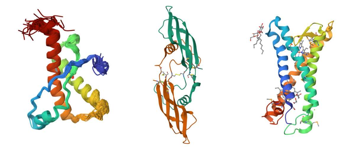 Structure of sheep prion protein, human artemin and E. coli superoxide oxidase.