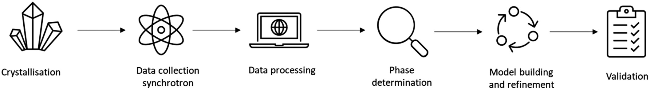 X-ray crystallography process: crystallizing, data collection and processing, model building and refinement.