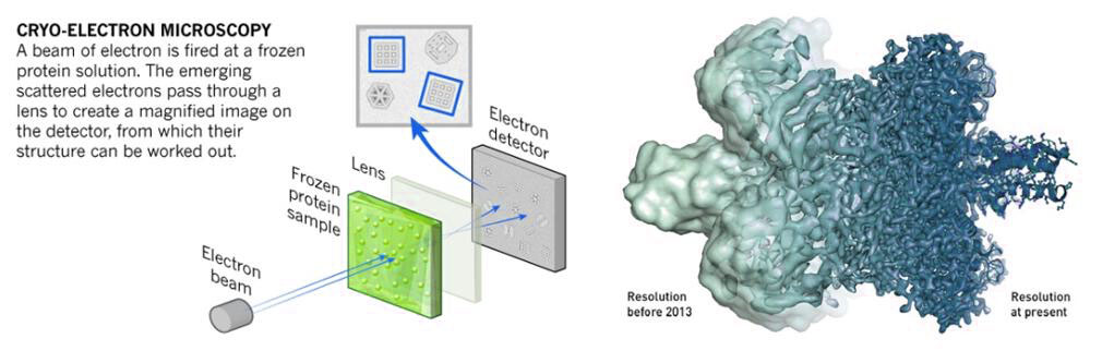 Theory of cryo-EM: reconstruct images of frozen samples captured from different angles.