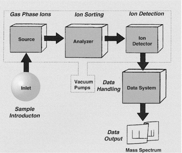 Schematic diagram of the composition of a mass spectrometer: ion source, mass analyzer, ion detector and date system.