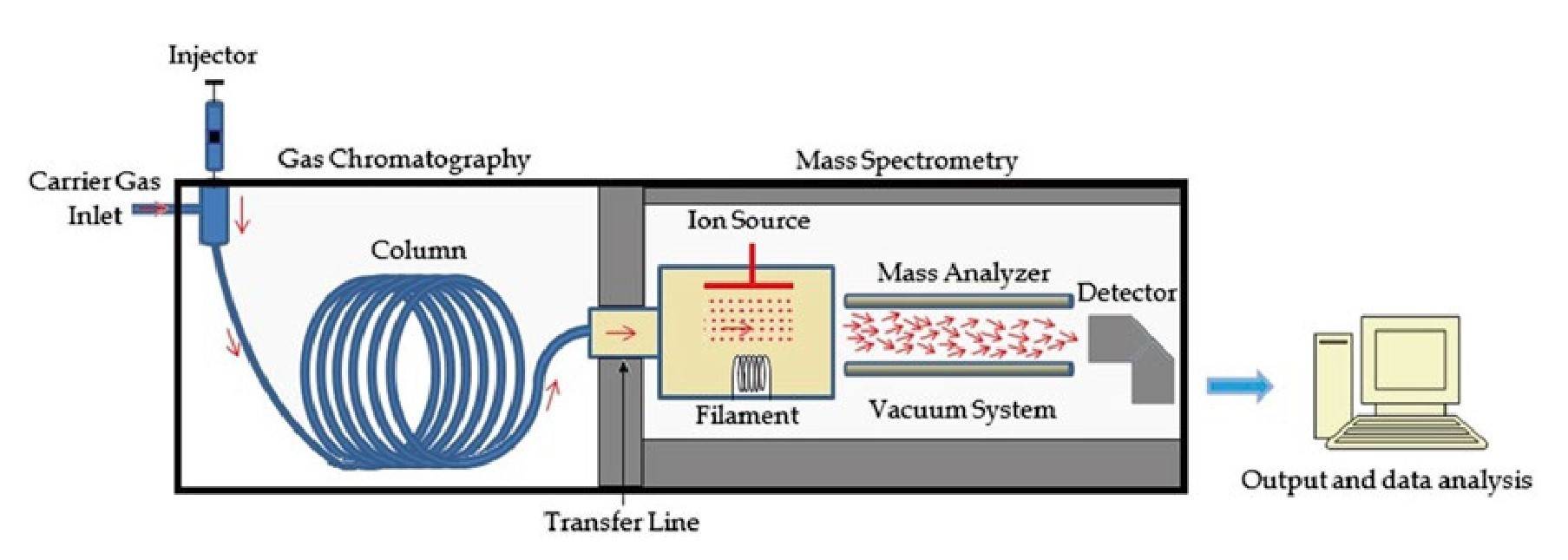 Diagram of gas chromatography-mass spectrometry instruments.