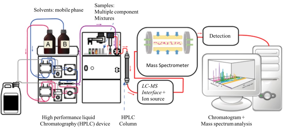 Diagram of liquid chromatography-mass spectrometry instruments.