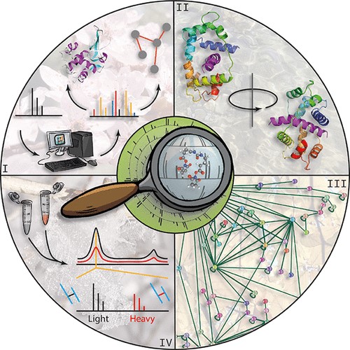 Mass spectrometry can be used to study protein structure, dynamics and interactions.