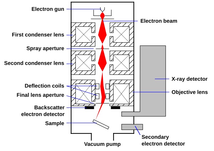 Illustration of SEM instruments.