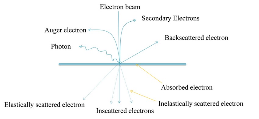 The principle of TEM is based on the interaction between electrons and matter.