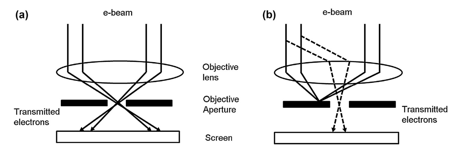 Two basic imaging modes of TEM: bright-field and dark-field.