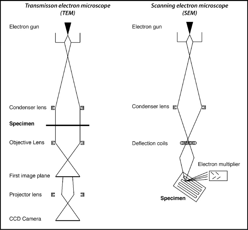 Comparison diagram of the principle and instrumentation structure of SEM and TEM.