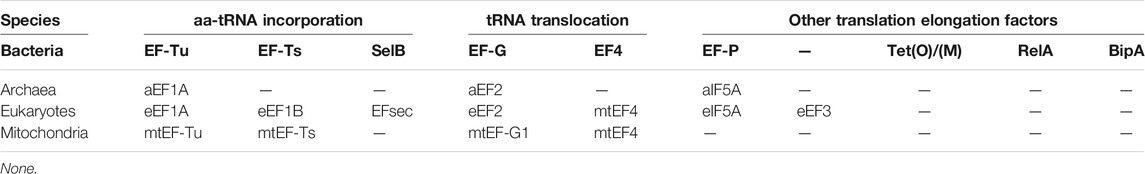 A summary of translation elongation factors in prokaryotes and eukaryotes.