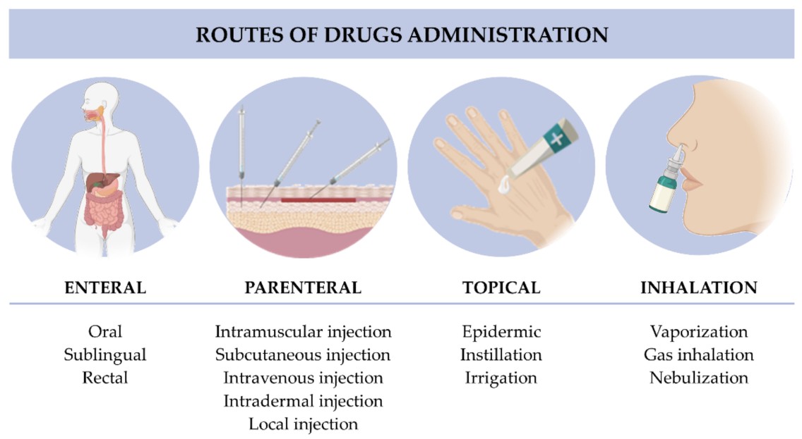 Routes of drug administration: enteral, parenteral, topical, and inhalation.