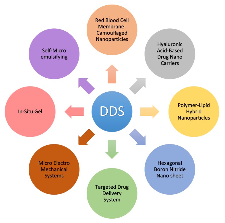 Examples of novel drug delivery systems: red blood cell membrane camouflaged nanoparticles, hyaluronic acid-based drug nanocarriers, hexagonal boron nitride nanosheets, and more.